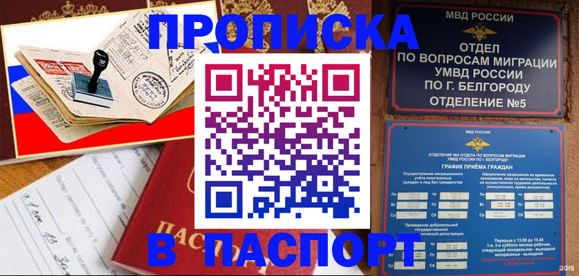 купить прописку в Каргополе